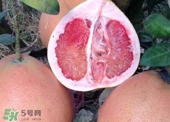 三紅蜜柚口味怎么樣？三紅蜜柚苗多少錢一棵
