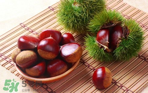板栗酒能治療腎陽虛嗎？板栗泡酒真的能壯陽嗎？