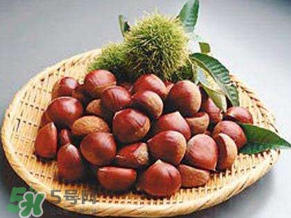 板栗酒能治療腎陽虛嗎？板栗泡酒真的能壯陽嗎？