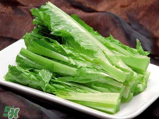 萵苣葉能吃嗎？萵苣葉和油麥菜有什么區(qū)別