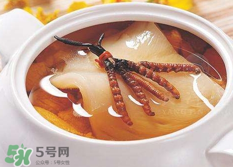 花膠能天天吃嗎？花膠一天吃多少克？