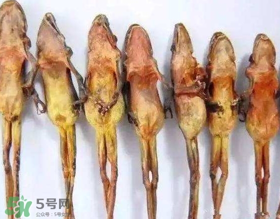 雪蛤干多少錢(qián)一斤？雪蛤干怎么吃？