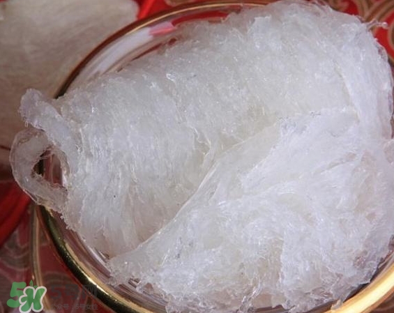 發(fā)好的燕窩怎么保存？發(fā)好的燕窩可以冷凍嗎？