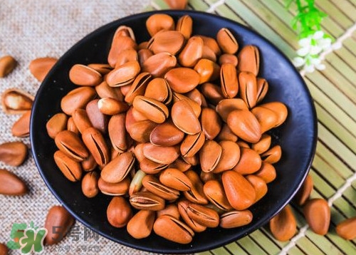 松籽什么季節(jié)采摘？吃松籽有什么好處？