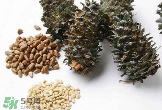 松子是松樹(shù)的果實(shí)嗎？松子是酸性還是堿性