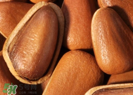 松籽什么季節(jié)采摘？吃松籽有什么好處？