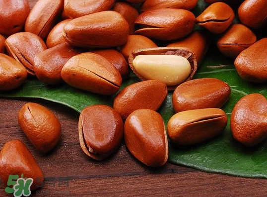 松籽可以生吃嗎？松籽怎么儲(chǔ)藏保存