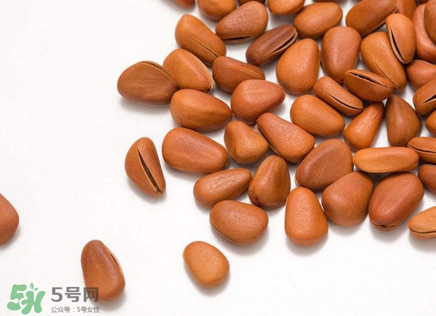 松籽多少錢一斤？松籽怎么炒能開口