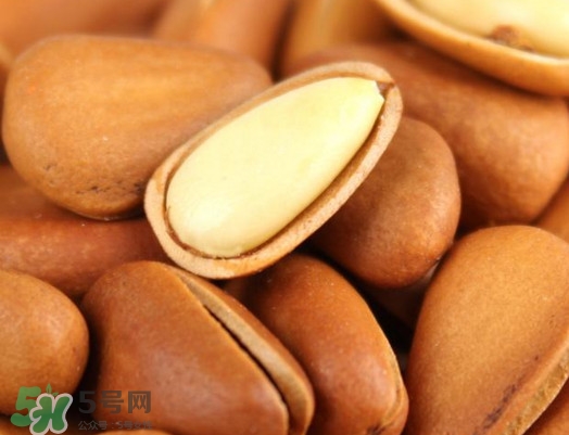 松籽過(guò)期還能吃嗎？松籽出芽是怎么回事