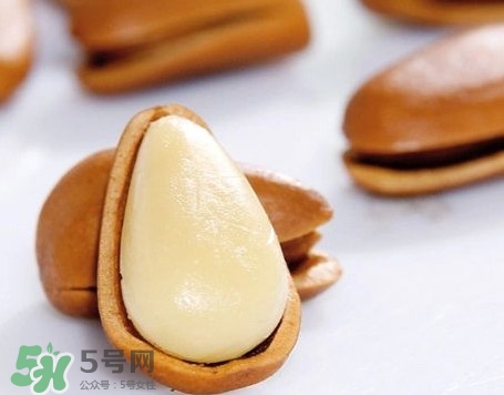 松子是松樹(shù)的果實(shí)嗎？松子是酸性還是堿性