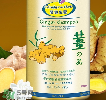 琴葉洗發(fā)水是哪國(guó)的？琴葉洗發(fā)水是幾線品牌