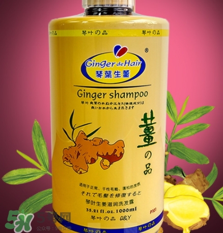 琴葉洗發(fā)水是哪國(guó)的？琴葉洗發(fā)水是幾線品牌