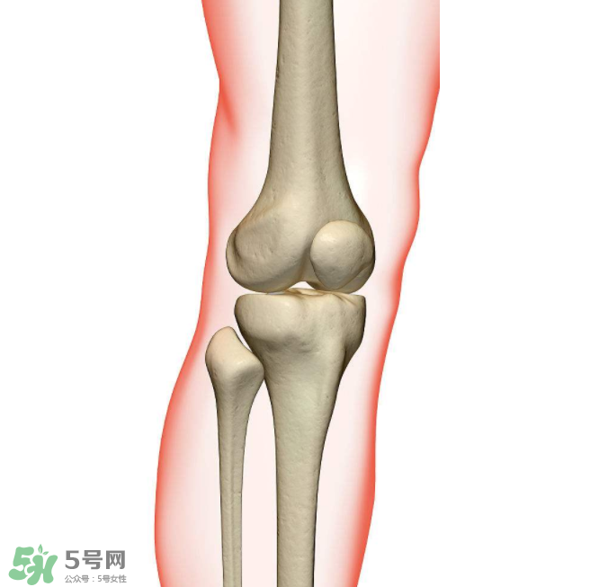 風(fēng)濕不治療可以治愈嗎？早期風(fēng)濕能自愈嗎？