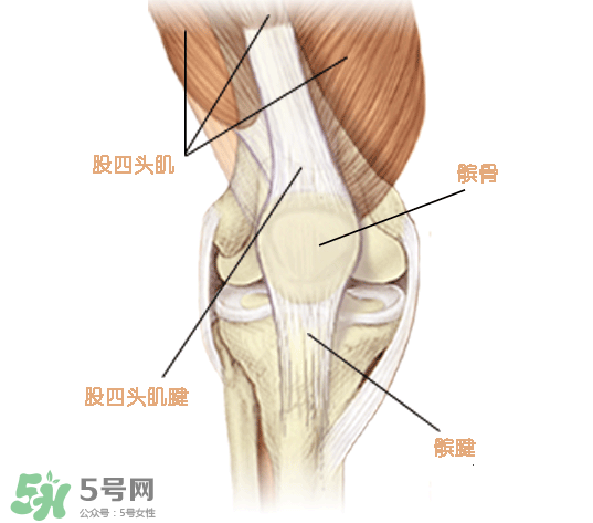 風(fēng)濕可以吃螃蟹嗎？得了風(fēng)濕能吃螃蟹嗎？