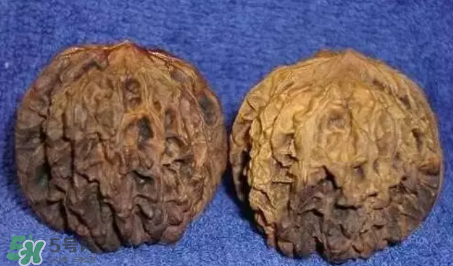 核桃上的陰皮是什么？核桃對(duì)血管的作用