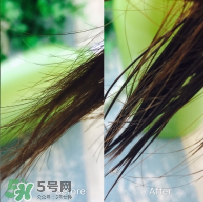 ts護(hù)發(fā)素怎么樣？ts護(hù)發(fā)素多少錢