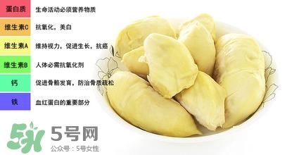 榴蓮可以榨汁嗎？榴蓮可以和什么榨汁？