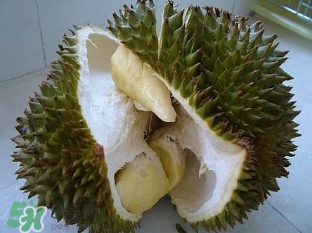 榴蓮和雞蛋能一起吃嗎？榴蓮和什么不能一起吃？