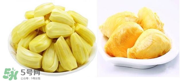 榴蓮和菠蘿蜜一樣嗎？榴蓮和菠蘿蜜哪個營養(yǎng)好？