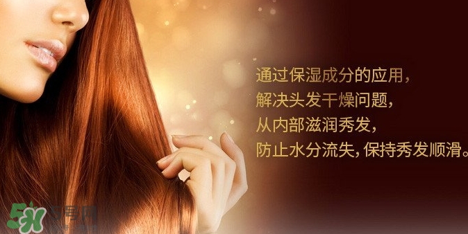 indefinie是什么牌子？indefinie洗發(fā)水怎么樣？