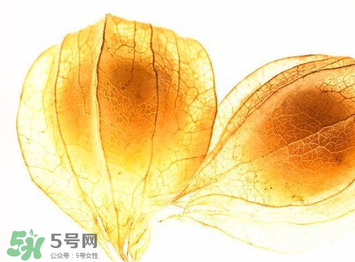 黃姑娘怎么吃 黃姑娘的功效與作用 黃姑娘怎么吃 黃姑娘的功效與作用