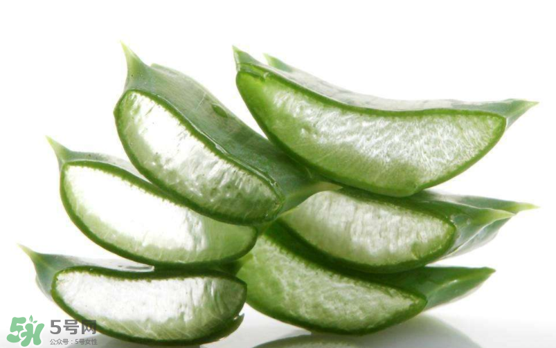 敏感肌能使用蘆薈護(hù)膚嗎？蘆薈膠有什么用？