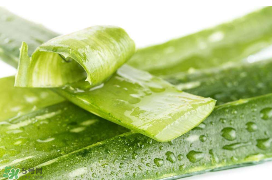 敏感肌能使用蘆薈護(hù)膚嗎？蘆薈膠有什么用？