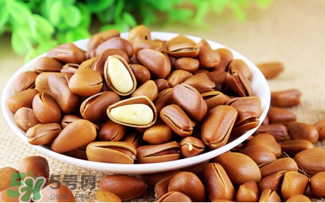 松子什么時(shí)候成熟？松子什么時(shí)候吃最好