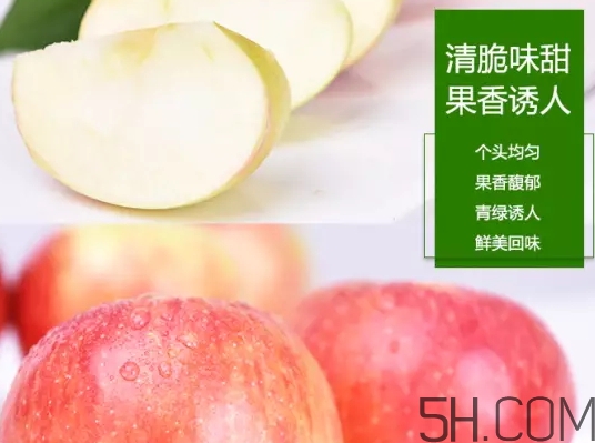 美八蘋果價格多少錢？美八蘋果多少錢一斤？