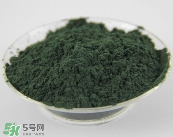 螺旋藻粉怎么吃？螺旋藻粉的功效與作用