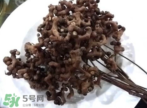 拐棗可以嫁接嗎？拐棗是哪里的特產(chǎn)