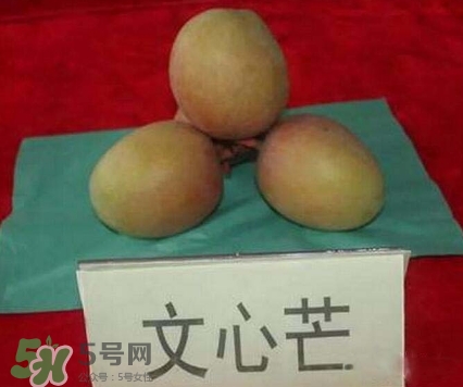 芒果有哪些品種？哪種芒果最好吃？