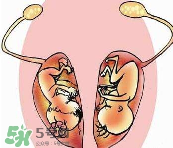 雙子宮對(duì)懷孕有影響嗎？雙子宮懷孕要注意什么？