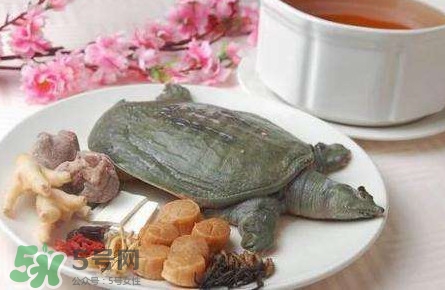 腳魚是什么？腳魚和烏龜?shù)膮^(qū)別