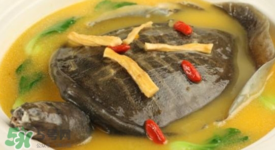 腳魚有靈性嗎？腳魚吃了有什么好處
