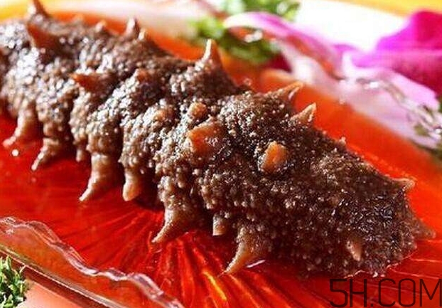 海參能和西紅柿一起吃嗎？海參和什么一起吃最好？