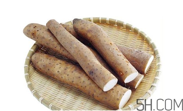 山藥發(fā)芽怎么處理？山藥的功效及作用