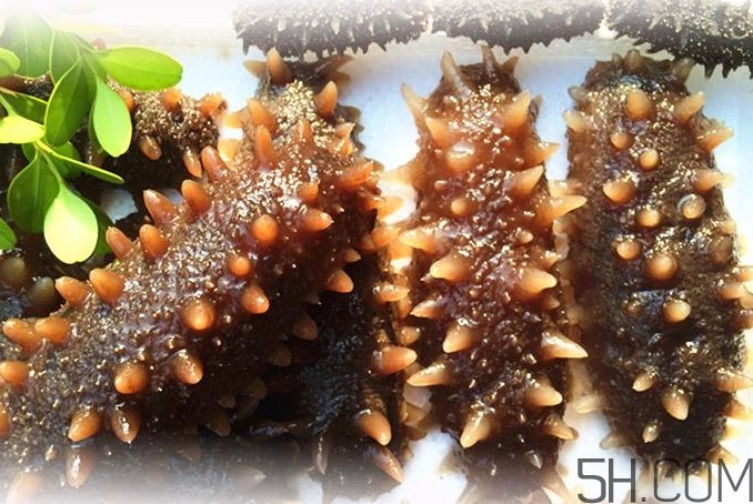 海參能和西紅柿一起吃嗎？海參和什么一起吃最好？