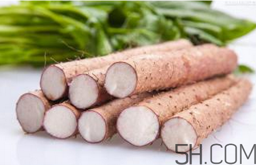 山藥和白蘿卜可以一起燉湯嗎？冬天吃山藥的五大好處