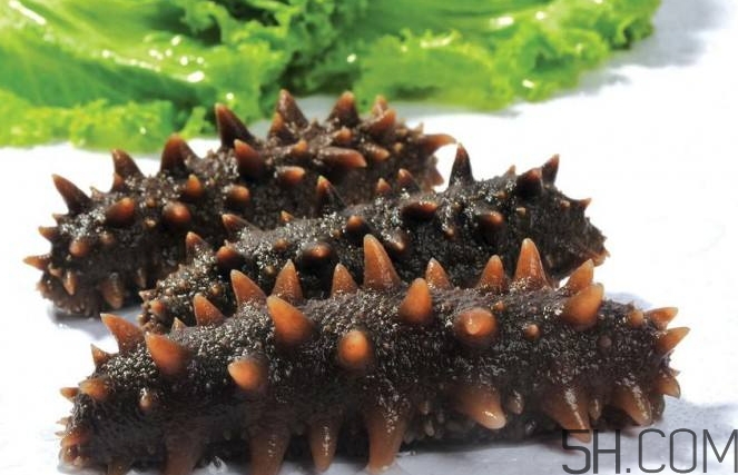 術(shù)后能吃海參嗎？術(shù)后吃海參的功效與作用