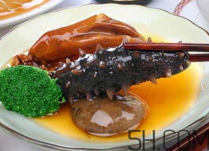 海參是海鮮嗎？海參是動物還是植物？