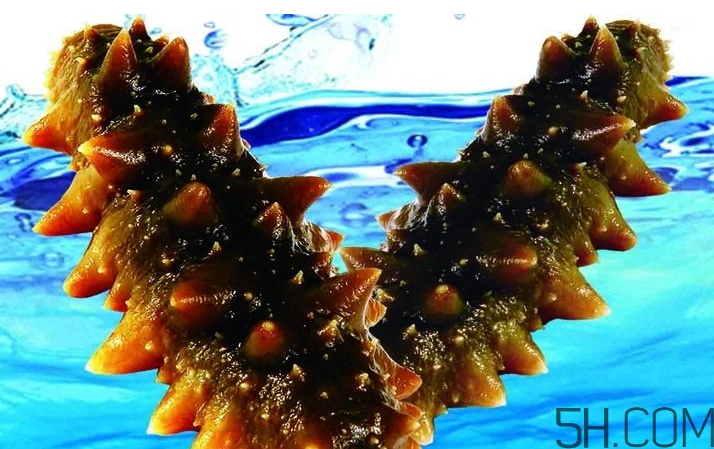 海參是酸性還是堿性？海參是涼性還是熱性？