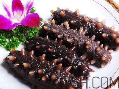 海參是高蛋白食物嗎？海參是素食嗎？