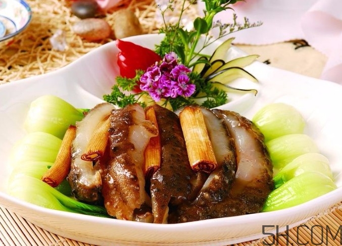 海參是高蛋白食物嗎？海參是素食嗎？