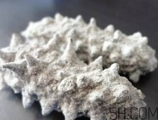 海參顏色深好還是淺好？海參顏色發(fā)白時(shí)怎么回事？