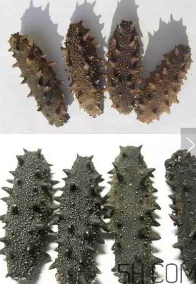 海參顏色深好還是淺好？海參顏色發(fā)白時(shí)怎么回事？