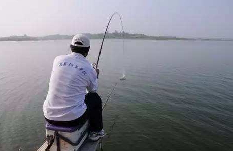 大蒜泡酒能釣魚(yú)嗎？大蒜泡酒釣魚(yú)的方法