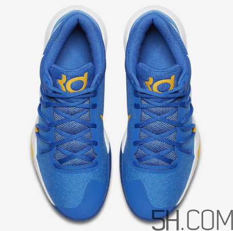 nike kd trey 5 v warriors勇士配色多少錢_在哪買？