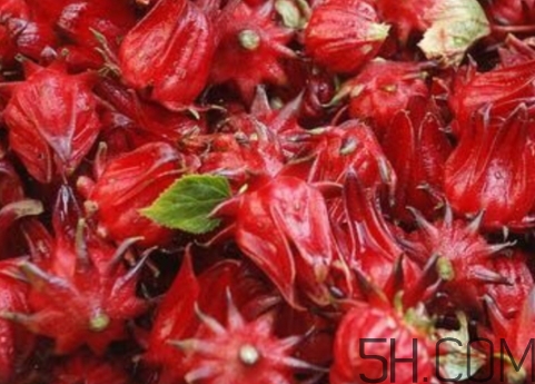 洛神果是什么？洛神果和洛神花區(qū)別