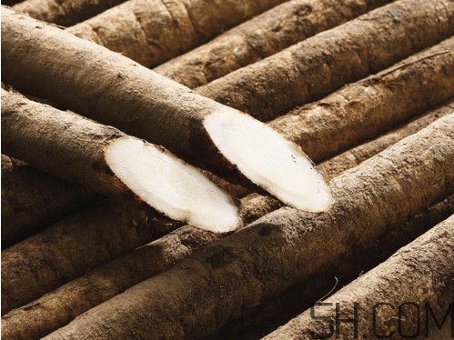 牛蒡是牛大力嗎？牛蒡和牛大力的區(qū)別